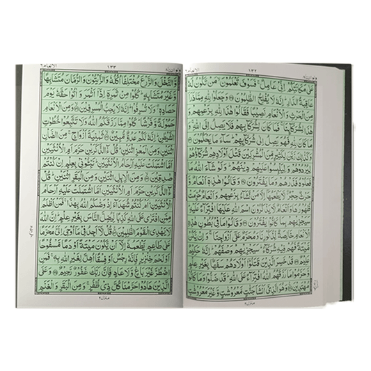 Quran Kareem 16 / 11