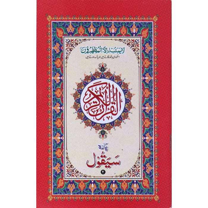 Para sayaqool Colourful (Medium) PS-1 – Gaba Sons
